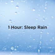 1 Hour: Sleep Rain