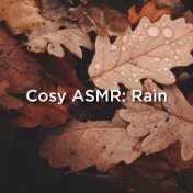 Cosy ASMR: Rain