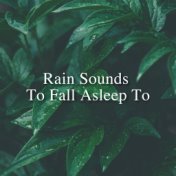 Rain Sounds To Fall Asleep To
