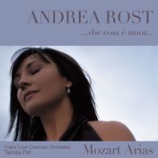 Che cosa è amor : Mozart Arias