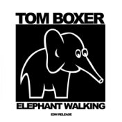 Elephant Walking