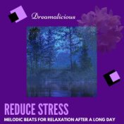 Reduce Stress - Melodic Beats For Relaxation After A Long Day