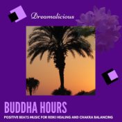 Buddha Hours - Positive Beats Music For Reiki Healing And Chakra Balancing