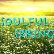 Soulful Spring