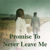 Promise To Never Leave Me