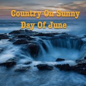 Country On Sunny Day Of June
