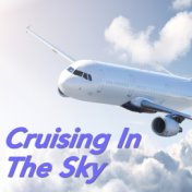 Cruising In The Sky