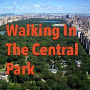 Walking In The Central Park