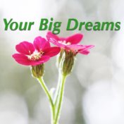 Your Big Dreams