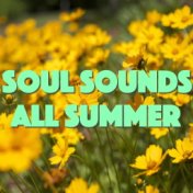 Soul Sounds All Summer