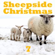 Sheepside Christmas, Vol. 7