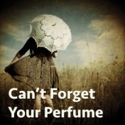 Can't Forget Your Perfume