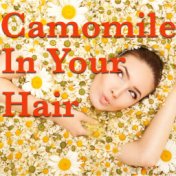 Camomile In Your Hair