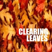 Clearing Leaves