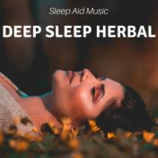 Deep Sleep Herbal Sleep Aid Music