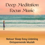 Deep Meditation Focus Music - Natuur Slaap Easy Listening Ontspannende Muziek voor Helende en Reiki Behandeling