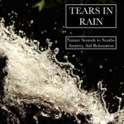 Like Tears in Rain - Timeless Nature Sounds to Soothe Your Anxiety, De-Stress and Relax, and to Help You Sleep, Be More Mindful,...