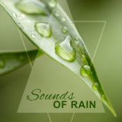 Sounds of Rain – Soothing Sounds for Rest, Peaceful Music, Deep Water, Gentle Rain for Relaxation, Soft Music