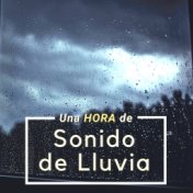 Una Hora de Sonido de Lluvia - Ruido Blanco de la Naturaleza Relajante, 1 Hora Completa de Sonidos para Dormir