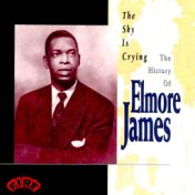 The Sky is Crying: The History of Elmore James