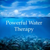 Powerful Water Therapy - 20 Essential Water, Rain and Ocean Melodies for Total Relaxation, Deep Focus, Self Improvement, Transce...