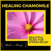 Healing Chamomile - Beautiful Music For Stress Relief