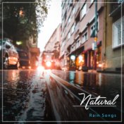 19 Canciones de Lluvia Natural para Aliviar el Estrés