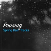 #2018 Pouring Spring Rain Tracks from Nature