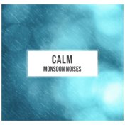 #13 Calm Monsoon Noises