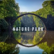 Nature Park (Relaxing Bird Chirping, Sounds of Water, Wild Animal Sounds)