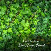 #2018 Light and Steady Rain Drop Sounds for Sleep