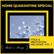 Home Quarantine Special - Yoga & Meditation Melodies, Vol. 7