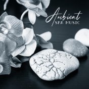 Ambient Spa Music