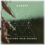 #20 Sleepy Autumn Rain Sounds from Nature