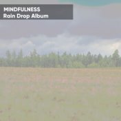 Mindfulness Rain Drop Album