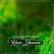 2018 Rain and Nature: Relaxing Music Therapy