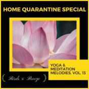 Home Quarantine Special - Yoga & Meditation Melodies, Vol. 13