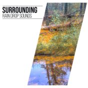#21 Surrounding Rain Drop Sounds