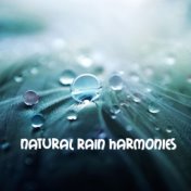 2018 Calming Rain Sounds to Aid Sleep and Relieve Anxiety