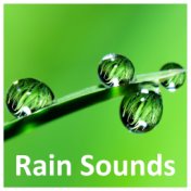 16 Rain Sounds to Calm the Mind - Achieve Inner Peace