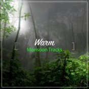 #19 Warm Monsoon Tracks