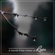 14 Ambient Rain Tracks for Sleep Aid and Relaxation