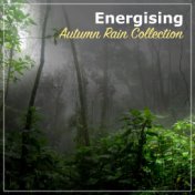 #2018 Energising Autumn Rain Collection for Relaxation & Deep Sleep