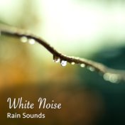 #16 White Noise Rain Sounds