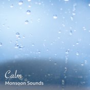 #21 Calm Monsoon Sounds for Sleep