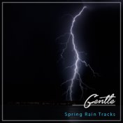 #24 Gentle Spring Rain Tracks
