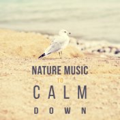 Nature Music to Calm Down – Relaxing Sounds of Nature, Peaceful Music, Rest for a Moment
