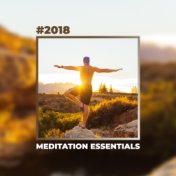 #2018 Meditation Essentials