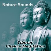 Nature Sounds – Relaxation & Tibetan Chakra Meditation, Healing Massage and Spa, Yoga Music Sound Therapy for Chakra Balancing, ...