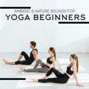 Ambient & Nature Sounds for Yoga Beginners 2020